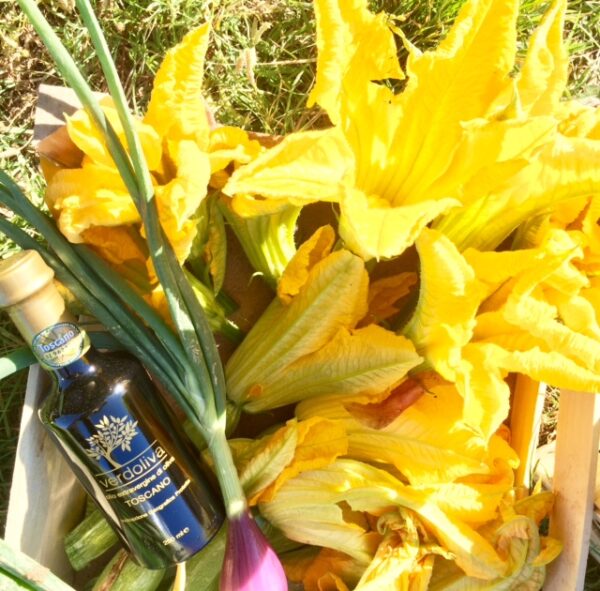 Olio Verdoliva Toscano Extravergine - immagine 10