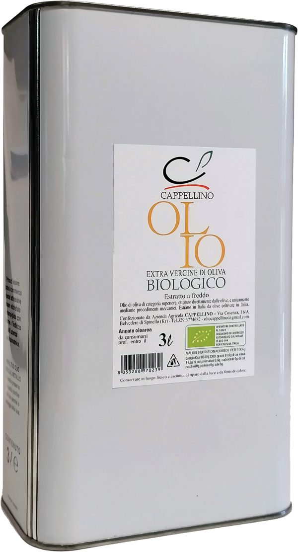 Olio extra vergine di oliva  EVO in Lattina da 3 litri prodotto in Calabria - immagine 2